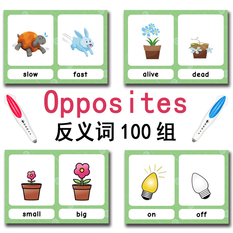 The 100 Groups Opposites Flash - огляд і ціна Card Game Kids