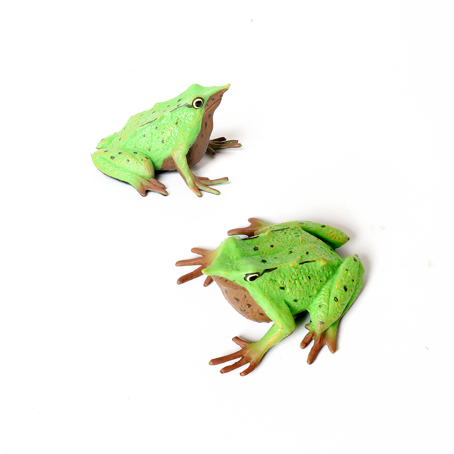 Rainforest Animals Frogs Figur - огляд і ціна Kids Toys Review