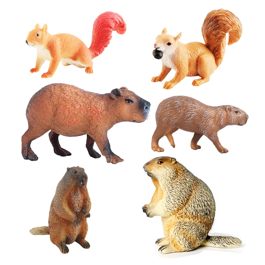 Capibara Capybaras Squirrel Ma - огляд і ціна Kids Toys Review