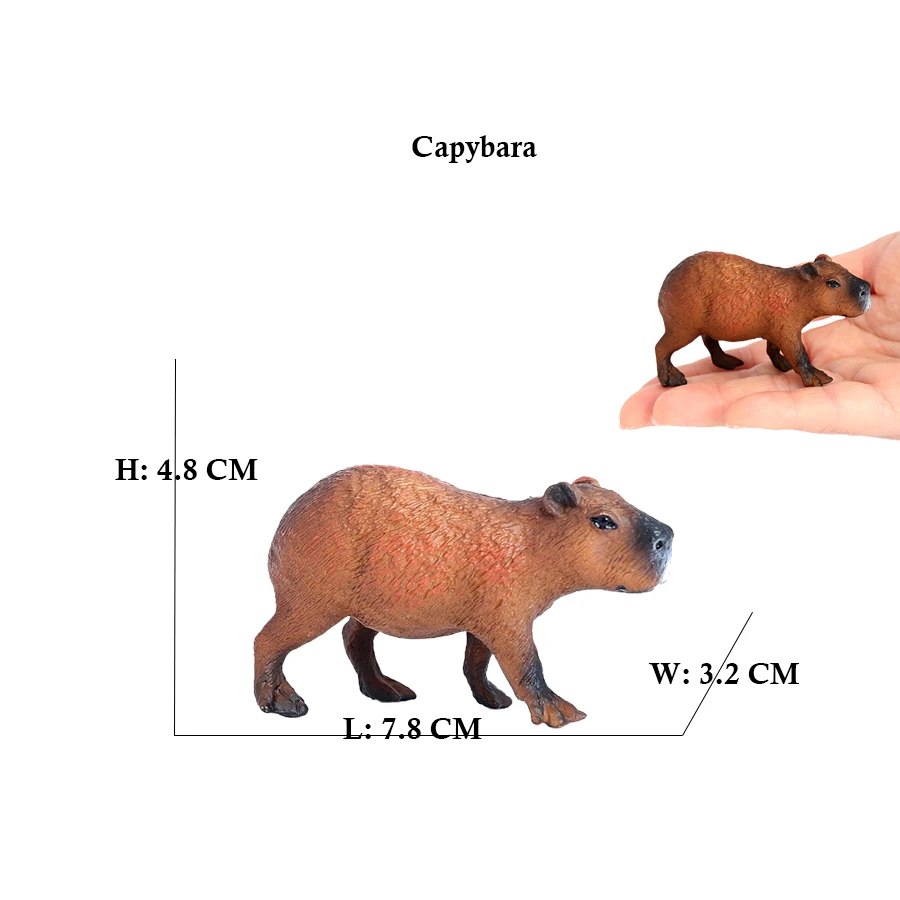 Capibara Capybaras Squirrel Ma - огляд і ціна Kids Toys Review