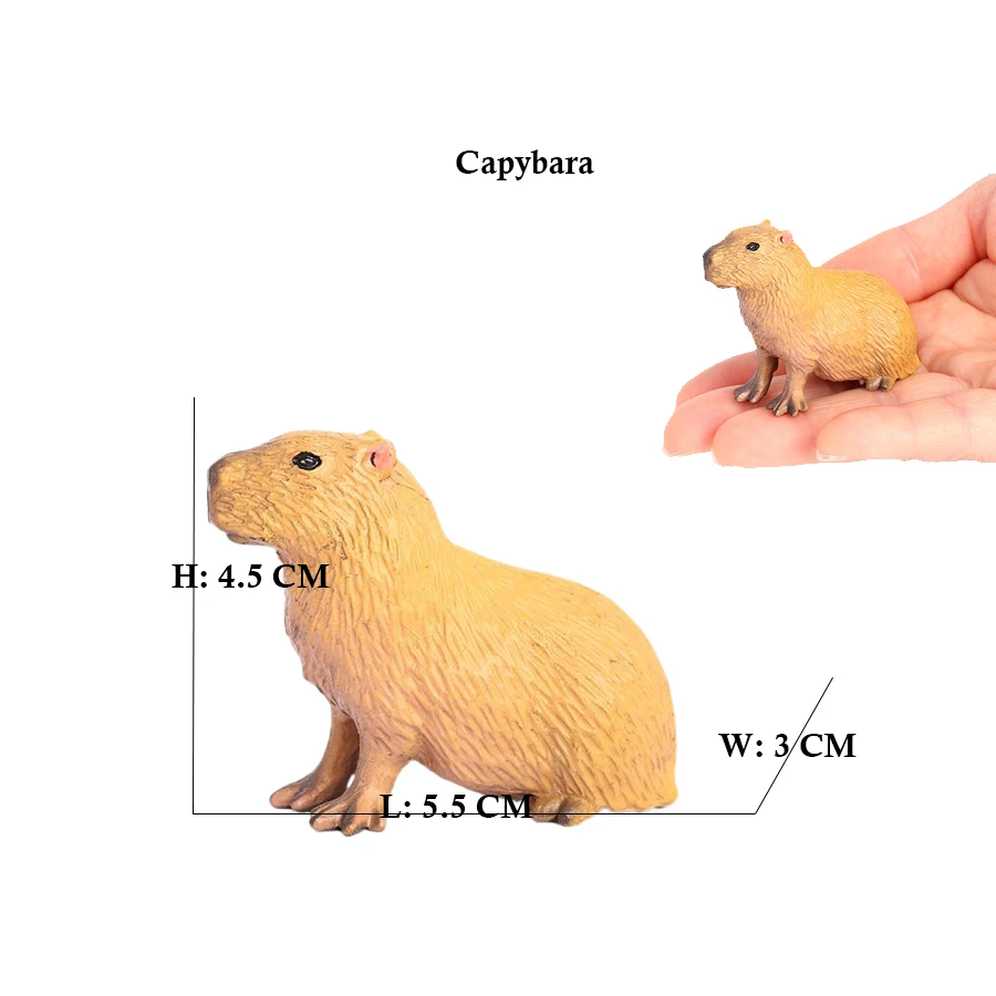 Capibara Capybaras Squirrel Ma - огляд і ціна Kids Toys Review