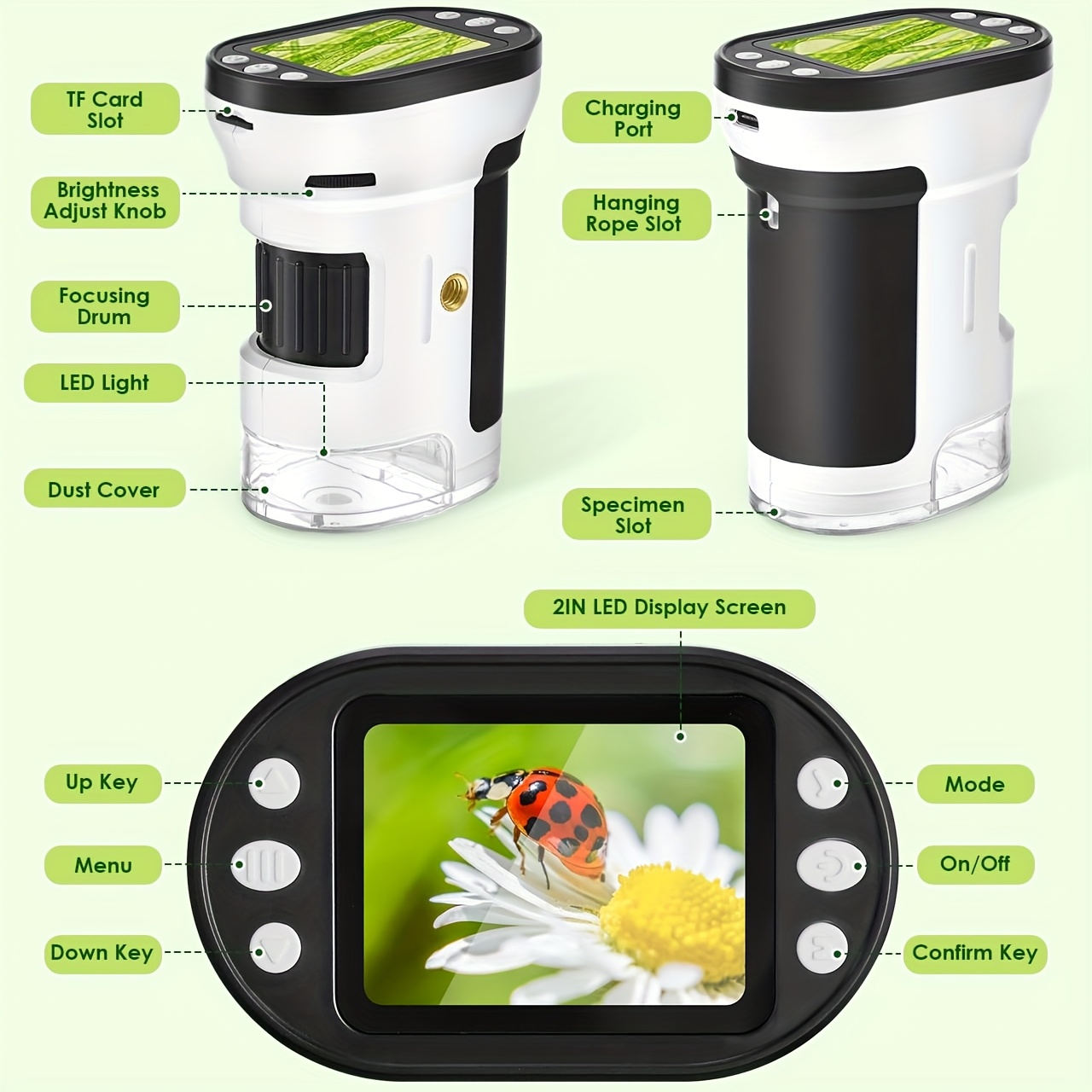 Kids Microscope Biological Kit - огляд і ціна Kids Toys Horse